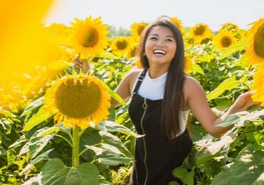 sunflower sunflower